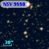 NSV  9880