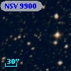 NSV  9900