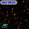 NSV  9924