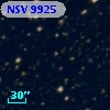 NSV  9925