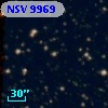 NSV  9969