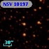 NSV 10197