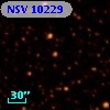 NSV 10229