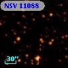 NSV 11088