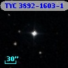 TYC 3892-1603-1