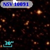 NSV 10091