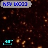 NSV 10323