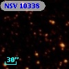 NSV 10338