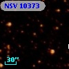 NSV 10373