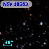 NSV 10583