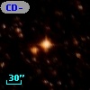 CD-44 12499