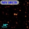 NSV 10529