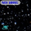 NSV 10885