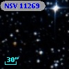 NSV 11269