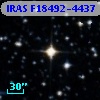 IRAS F18492-4437