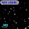 NSV 11645