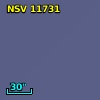 NSV 11731