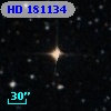 HD 181134