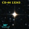 CD-44 13243