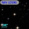 NSV 12595