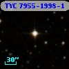 TYC 7955-1998-1