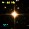 V* BS Mic