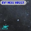 EV* M31 V0557