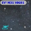 EV* M31 V0601