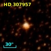 HD 307957