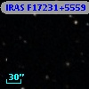 IRAS F17231+5559