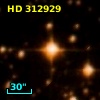 HD 312929