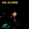 HD 313406