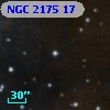 NGC  2175    17
