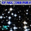 Cl* NGC 2360    PUR      F
