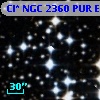 Cl* NGC 2360    PUR      E