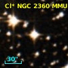 Cl* NGC 2360    MCL      15