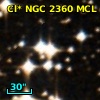 Cl* NGC 2360    MCL      14