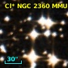 Cl* NGC 2360    MCL      11