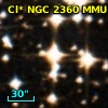 Cl* NGC 2360    MCL      12
