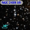 NGC  2439    19