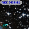 NGC  2439    61