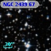 NGC  2439    67