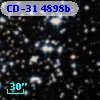 CD-31  4898b