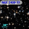 NGC  2439    77
