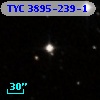 TYC 3895-239-1