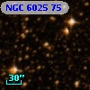 NGC  6025    75
