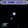 TYC 3900-1173-1