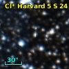 Cl* Harvard    5      S      24