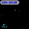 LDN 1031B