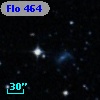 Flo 464